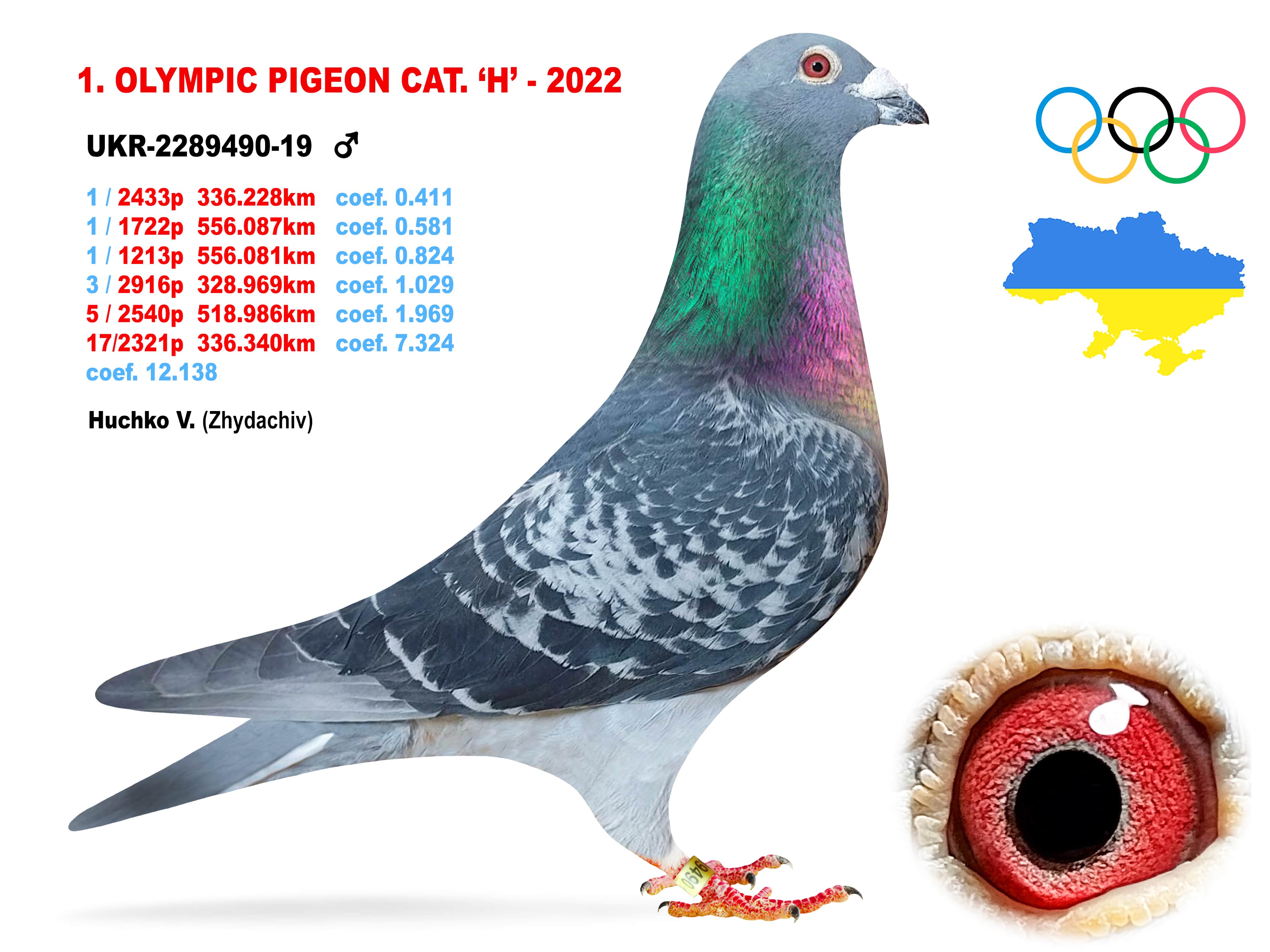 2022-H1